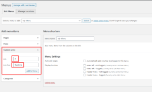 Custom Menu in WordPress